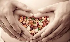 آیا خوردن مغزیجات در بارداری بی خطر است؟