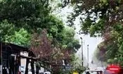 ثبت شدیدترین طوفان ۵۸ سال اخیر کاشان با سرعت ۱۰۵ کیلومتر در ساعت
