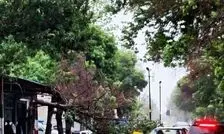 قطع برق ۵۳ هزار خانه در فرانسه بر اثر طوفان
