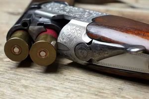 پسر 22 ساله پدرش را با شلیک سلاح شکاری کشت