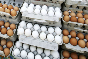 ممنوعیت صادرات تخم مرغ موقتی است یا مدت دار؟