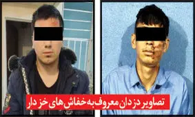 «خفاش‌های خزدار» زیر نورافکن‌های پلیس