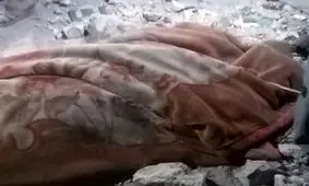 اسرائیل ۳۱ نفر دیگر را در نوار غزه شهید کرد

