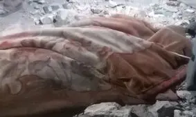 اسرائیل ۳۱ نفر دیگر را در نوار غزه شهید کرد

