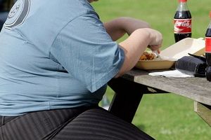  افزایش نگرانی نسبت به تعداد چاق های دنیا