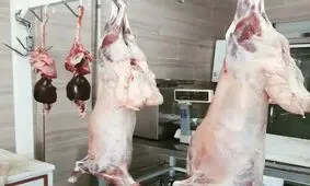  آویزان بودن لاشه و دنبه‌ گوسفند حرام است و باعث «تحریک مردم» می‌شود/ اگر قصابی‌ها روی دُنبه‌ گوسفند ذبح شده را با پارچه نپوشانند، پلمب می‌شوند