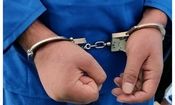 دستگیری عنصر وابسته به گروهک تروریستی انصارالفرقان در کرمان