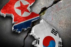 معیاری از فضا برای مقایسه توسعه یافتگی کره شمالی و جنوبی/ تصاویر