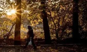 افزایش دما برای تهران از جمعه