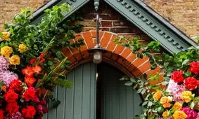 ۱۰ گیاه خوشبو برای کاشتن در ورودی خانه