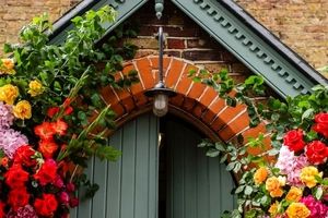 ۱۰ گیاه خوشبو برای کاشتن در ورودی خانه