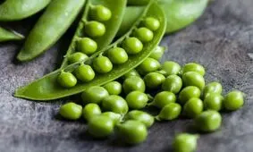 بهترین منابع پروتئین گیاهی را بشناسید