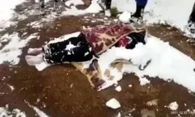 مرگ مادر پناهجوی افغانستانی در اثر یخزدگی در مرز ایران و ترکیه 