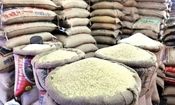 برنج‌ هندی و پاکستانی از راه رسید/ قیمت اعلامی چقدر است؟

