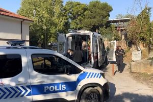 سه زخمی در درگیری مسلحانه بر سر شاه‌بلوط