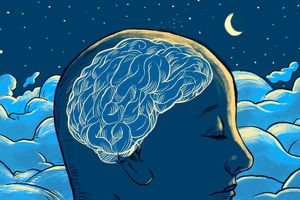 فالگیری مغز؛ وقتی همه خواب هستیم

