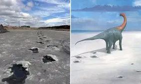  بزرگراه ۱۶۶ میلیون ساله دایناسورها کشف شد/ ویدئو

