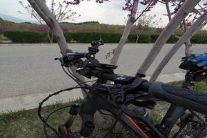 دوچرخه ای عجیب با چرخ های مربعی/ ویدئو