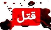 قتل هولناک مادر با ضربات دمبل در خیابان پاسداران تهران