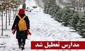 مدارس فیروزکوه فردا یکشنبه تعطیل است