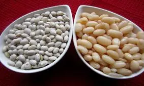این فواید شگفت انگیز لوبیا سفید برای سلامتی را بررسی کنید