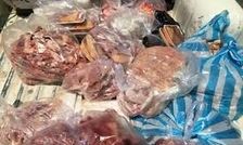 کشف ۲۰۰ کیلوگرم گوشت گراز در مرکز گیلان