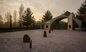 استاد معارف به کمر دختر دانشجوی بی حجاب لگد زد؟
