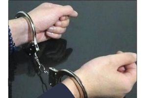 دستگیری دختر ۱۳ ساله ای که سرکرده باند سرقت بود