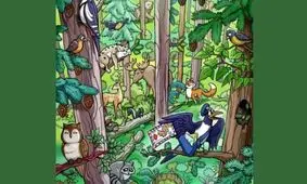 تست بینایی/ اگر چشمان تیزبینی دارید سنجاب پنهان شده را در 8 ثانیه پیداکنید؟