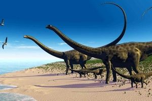 رد پای ۱۱۳ میلیون ساله دایناسور با خشکسالی آشکار کرد/ عکس