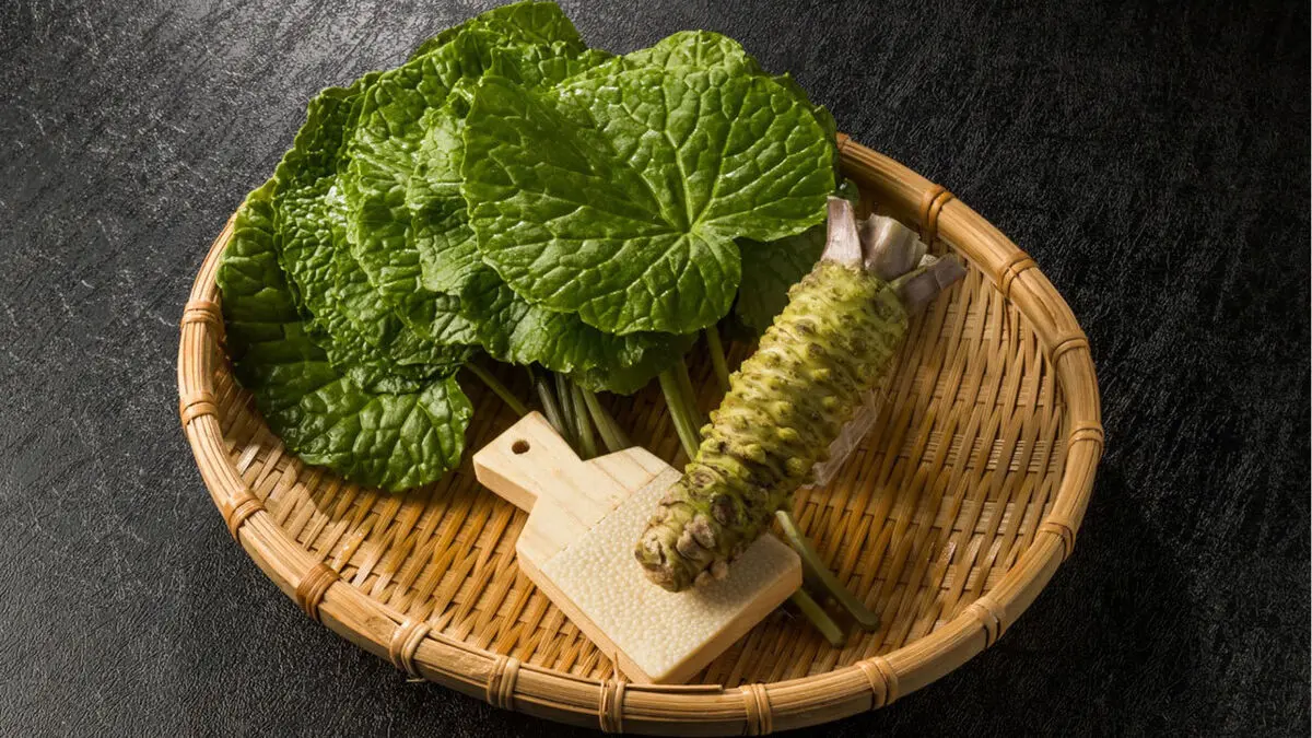 پیشگیری از پیری و سرطان با این ادویه ژاپنی
