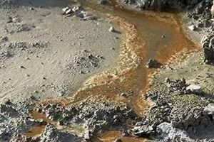 محیط زیست: آلودگی‌های نفتی به عسلویه رسید/ پاکسازی لکه‌های نفتی پراکنده و قطره‌ای به سختی امکان پذیر است