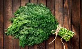 خواص اعجاب آور مصرف شوید که از آن بی‌خبر هستید