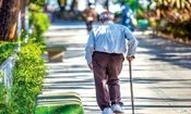 آسیب پذیری بیماران آلزایمر در فصل گرما