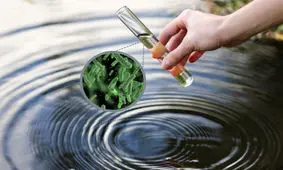 تصفیه آب کل جهان با میکروب‌هایی که تازه کشف شده‌اند