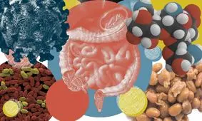 آیا میکروبیوم، معجزه بهبود عوارض بلندمدت بیماری است؟
