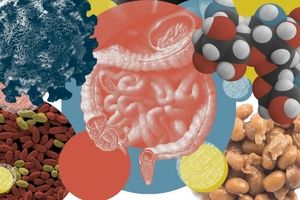 آیا میکروبیوم، معجزه بهبود عوارض بلندمدت بیماری است؟