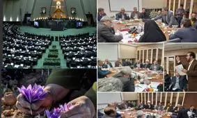 زعفران خود را ارزان نفروشید، تلاش ها نتیجه داد!/ تاکید مجلس بر  لغو عضویت نماینده شورای ملی زعفران در کارگروه استانی خرید زعفران/ دستور رئیس جمهور برای حمایت از کشاورزان صادر شد
