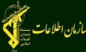 انهدام شبکه گسترده ارتشاء / سپاه ۱۷ نفر را دستگیر کرد