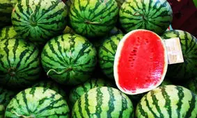 هندوانه شب یلدا کیلویی ۷۵۰۰ تومان