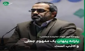 یارانه پنهان یک مفهوم جعلی و کاذب است 