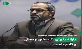 یارانه پنهان یک مفهوم جعلی و کاذب است 
