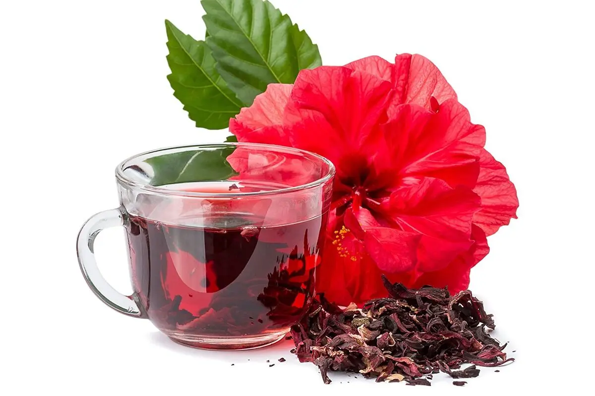 خواص چای ترش