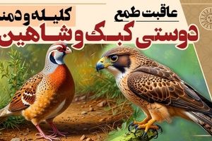 داستان دوستی کبک و شاهین، حکایتی از کلیله و دمنه/ دوست بد همنشین خود را نابود میکند