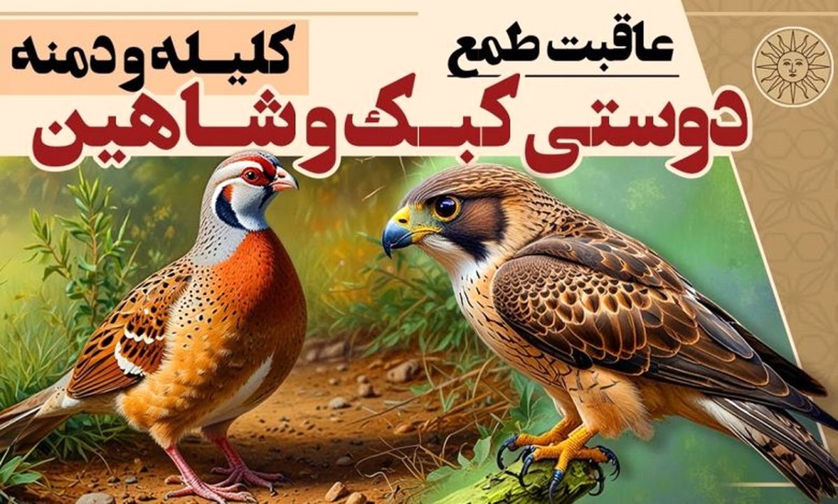 داستان دوستی کبک و شاهین، حکایتی از کلیله و دمنه/ دوست بد همنشین خود را نابود میکند