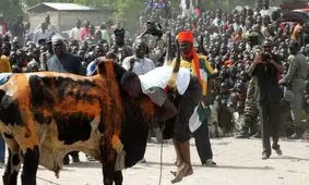 عجیب ترین و خطرناک ترین ورزش جهان/ ویدئو