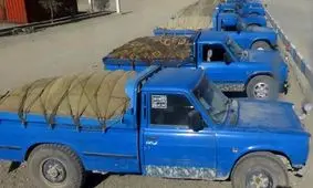 کشف محموله ۷ میلیاردی ممنوعه در بندرعباس