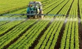 ۲۰۰ هزار تن از گندم‌های آماده برداشت خوزستان از دست رفت