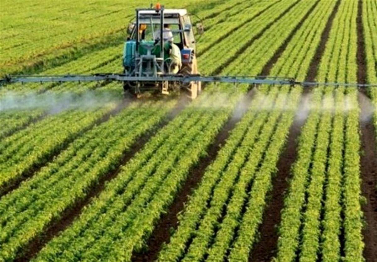 ۲۰۰ هزار تن از گندمهای آماده برداشت خوزستان از دست رفت