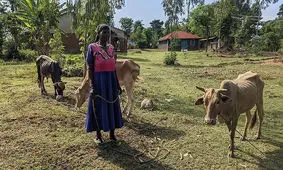 آزمایش پرداخت پول رایگان/ مدل کسب‌وکارها چه تغییری می‌کند؟